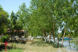 guest house dans la mangrove