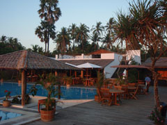 swimming pool palm beach hotel