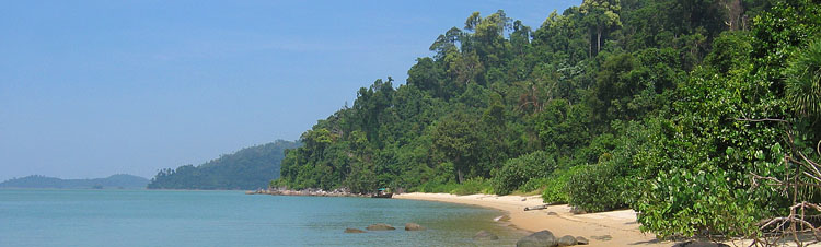 beach on an island in the mergui archipelago