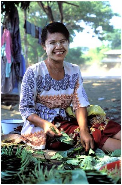 jeune vendeuse de bthel en birmanie 