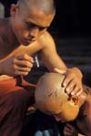 Monk shaving a Samanera