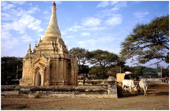 pagoda at Bagan, Myanmar