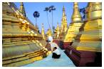 pagode shwedagon à yangon Myanmar