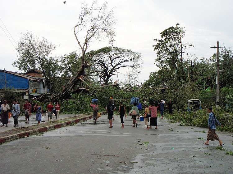 photo cyclone nargis3 mai route barrée chute d'arbre yangon