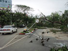 cyclone nargis yangon parc kandawgyi