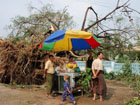 vendeur de fruit près d'un arbre tombé à yangon